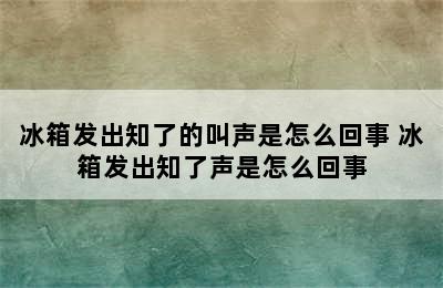 冰箱发出知了的叫声是怎么回事 冰箱发出知了声是怎么回事